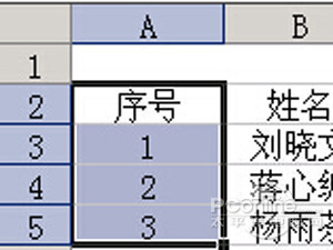 Excel2003̳