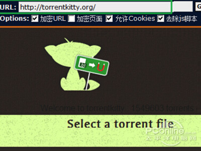 torrentkitty打不开怎么办