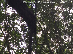 看得到的提升 iPhone 6 Plus/5S拍照