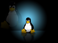 Linux的使用技巧是什么