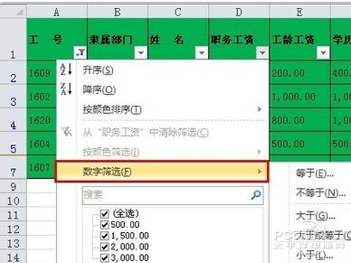 Excel中筛选功能使用方法/自定义筛选步骤1