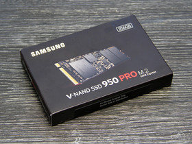 950PRO 256G