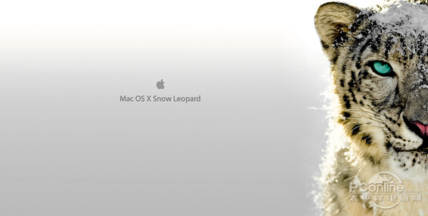 OS X Snow Leopard;ƻѩϵͳ