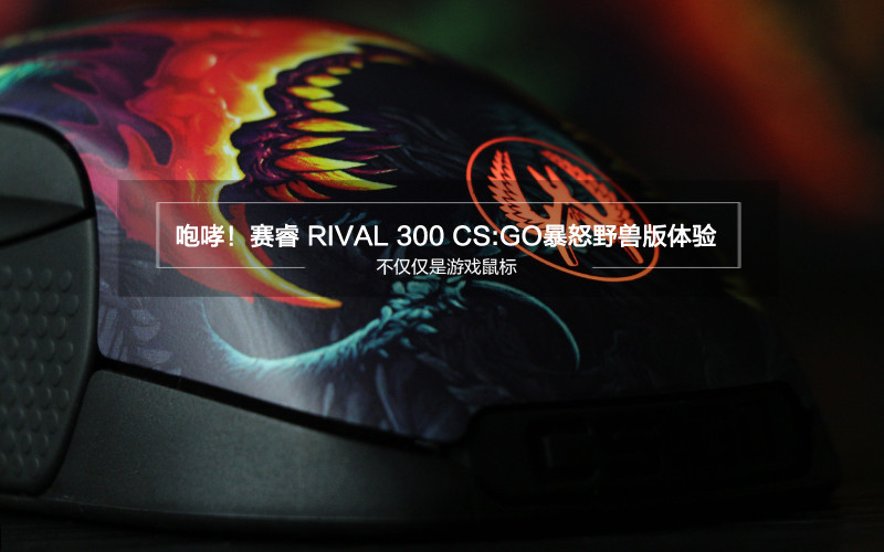 RIVAL 300 CS:GOŭҰްͼ