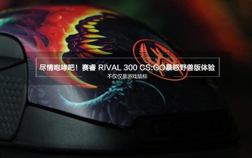 赛睿RIVAL 300 CS:GO暴怒野兽版dst2