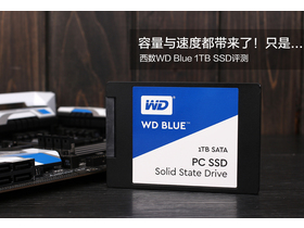 WD Blue 1TB SSD