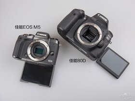 80DԱEOS M5