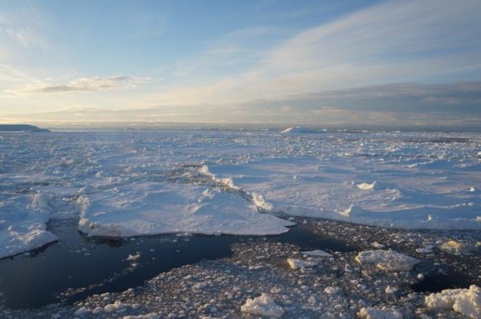 研究称南极海冰大量流失将威胁海洋生物的生存