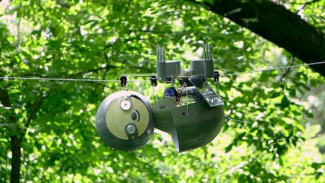 工程师展示树獭机器人可用于自然环境的长期观察
