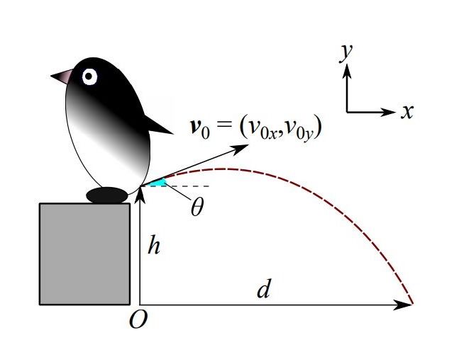 日本科学家发布企鹅“屎量动力学”新研究