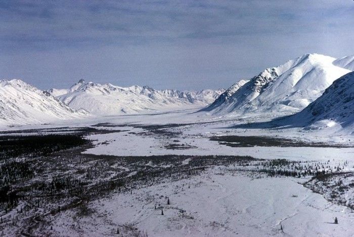 科学家称北极永久冻土融化可能会释放出致命古代病毒