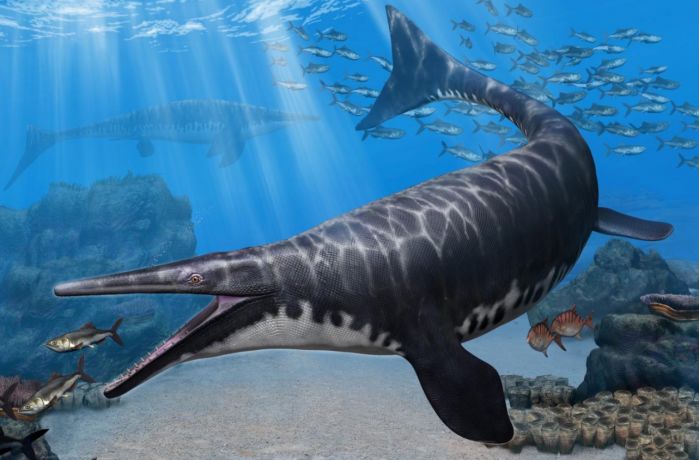 古生物学家发现沧龙新物种有着类似鳄鱼的鼻腔