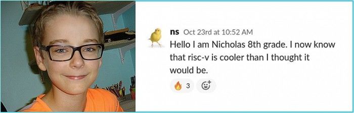 13岁男孩NicholasSharkey就创建了RISC-V核心