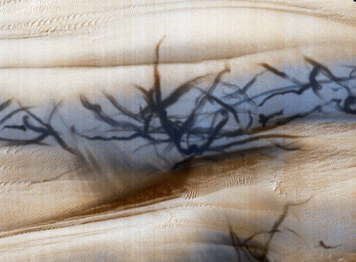 NASA在火星上发现“尘魔”痕迹看起来像爪痕