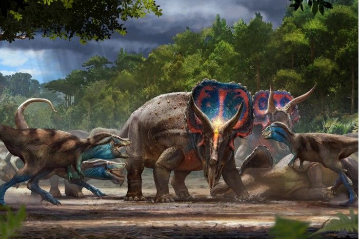 极为罕见：“决斗恐龙”化石将首次向公众展出