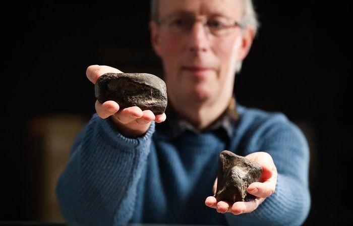 研究证实了爱尔兰地区首次发现的恐龙化石
