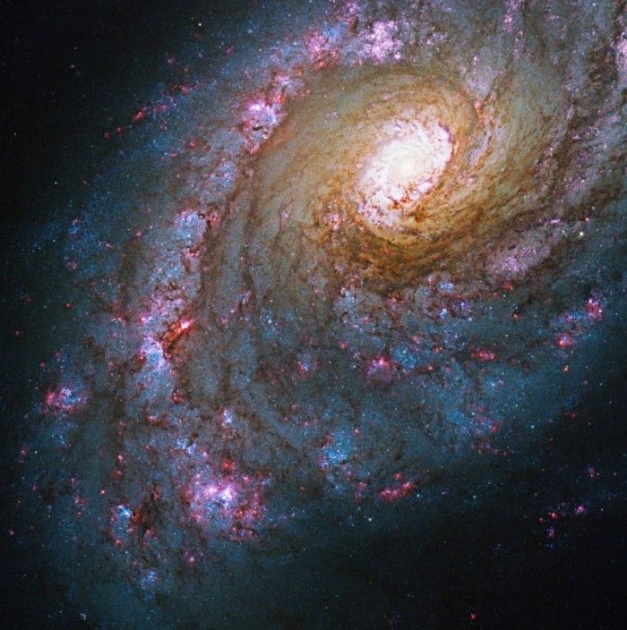 哈勃图像展示业余天文学家可见的30颗宇宙“宝石”