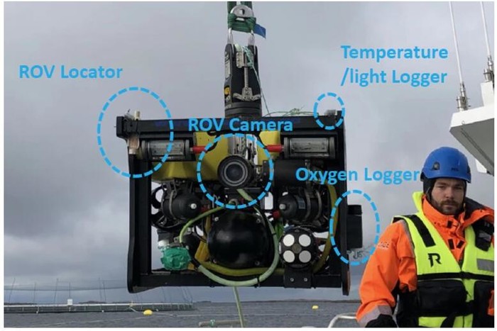 CageReporter：为监测养鱼场而设计的水下机器人