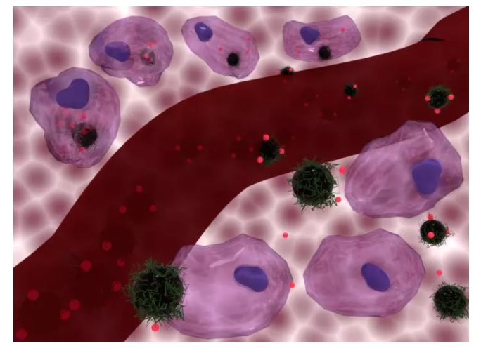 研究：用磁性纳米粒子“加热”癌细胞可促进化疗效果