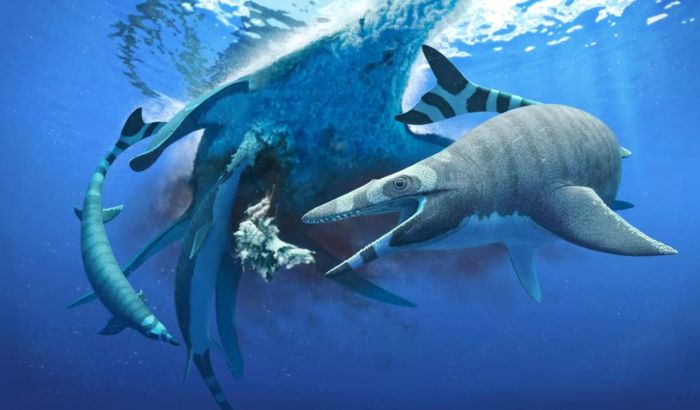 科学家发现新沧龙物种拥有像鲨鱼一样的牙齿