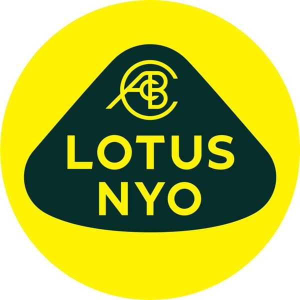 路特斯还设计出了多种版本的样式,内部使用路特斯标志性的黄与绿色