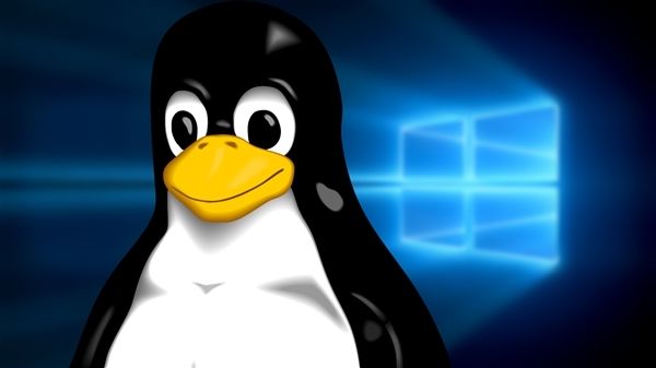科技大V尝试用Linux系统替代微软Windows：日常没问题