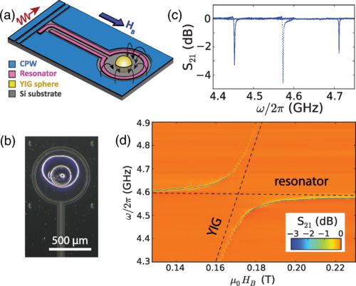 超导电路介导的远程磁振子相干耦合有望推动量子计算设备的小型化