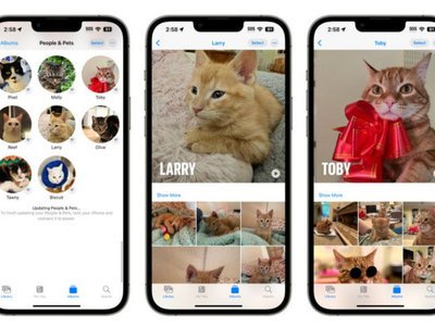 iOS 17iPhoneͼʶ