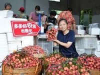 一片蜜瓜138元，拼多多同款每斤不到4元，百亿补贴助力消费者实现“水果自由”