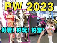 这就是二次元天堂！猛男の奇幻BW2023之旅分享