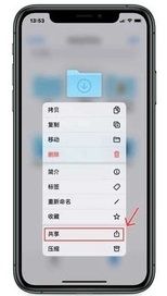 iphone文件共享怎么设置？插图