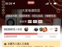 拼多多11.11开门红：百亿补贴用户规模超6.2亿，“理性升级”成消费新趋势