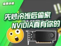NVIDIA推出两款“全新”专业卡，还挖来了Linux驱动专家