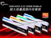ȫ׷! ֥ƳDDR5-6000 CL32 256GB (64GBx4) Ƶڴװ