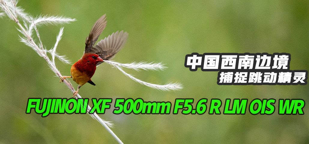 йϱ߾׽飬ʿXF 500mm F5.6 R LM OIS WR