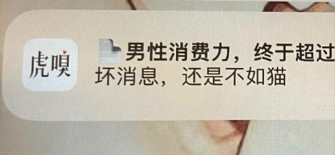 1亿直男也救不了虎扑。