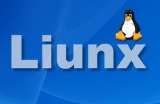 Linux下如何用vi编辑和保存文件